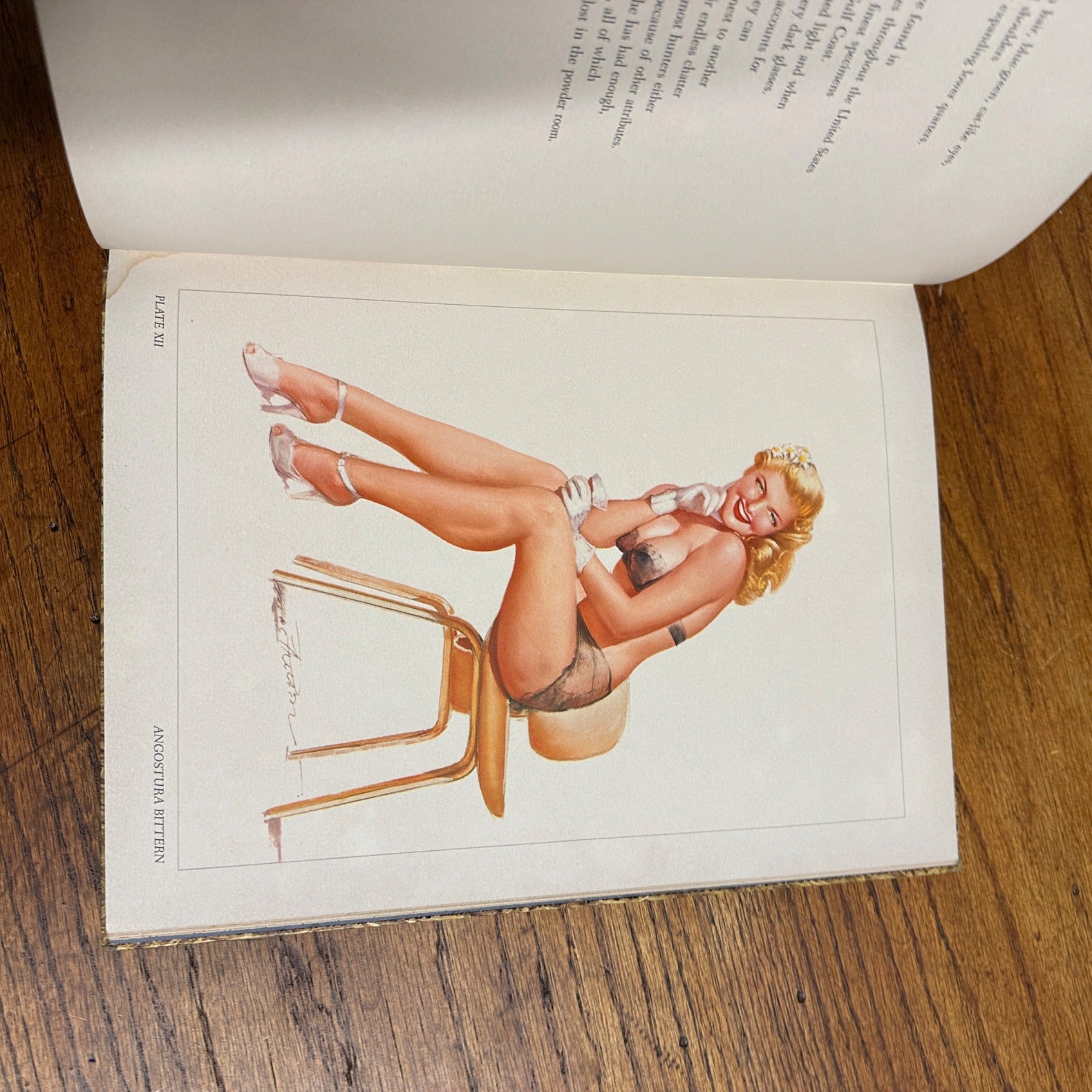 FUN HUNTING WITH MACPHERSON A GUIDE TO FINER FOWL BY HERM TEETOR 1954