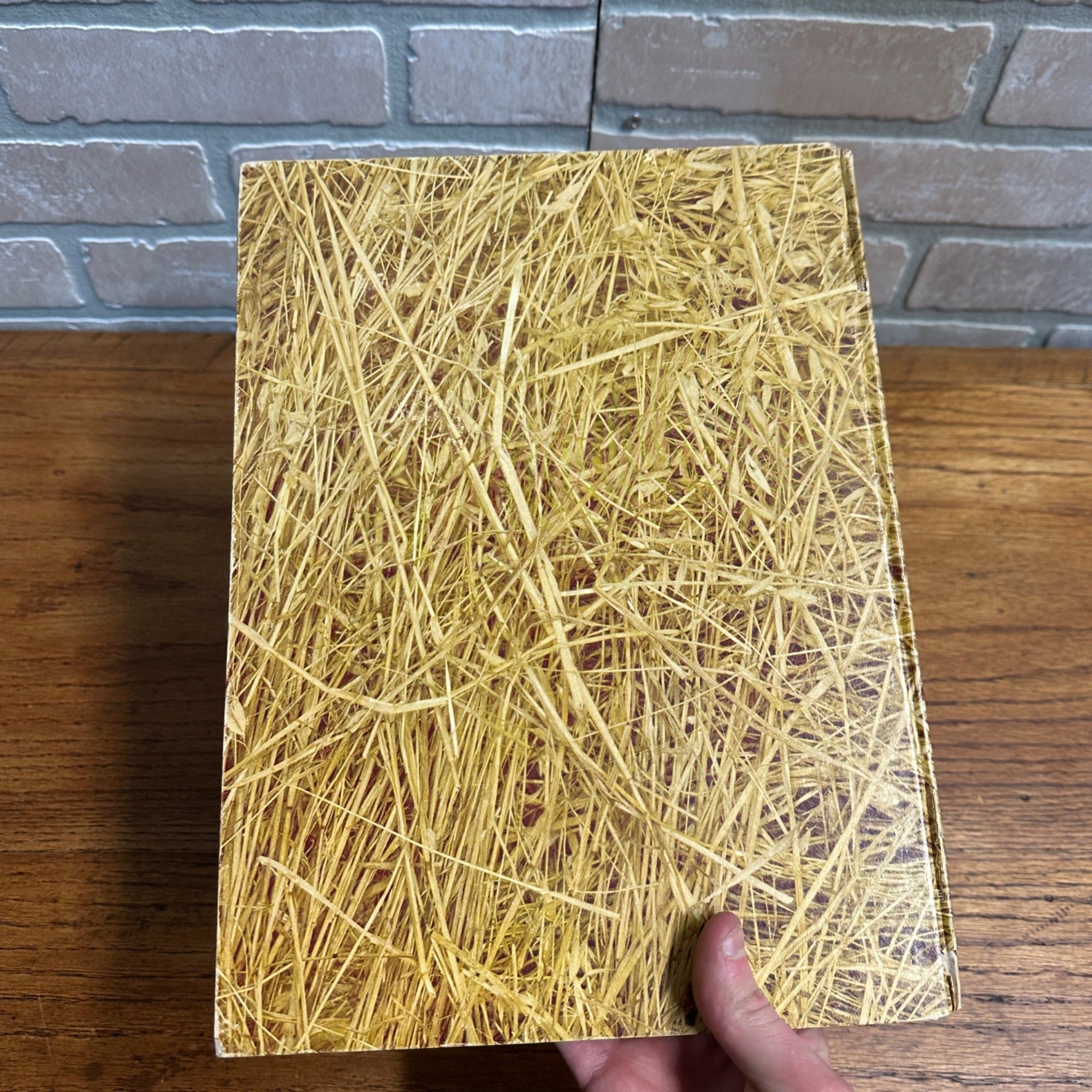 FUN HUNTING WITH MACPHERSON A GUIDE TO FINER FOWL BY HERM TEETOR 1954