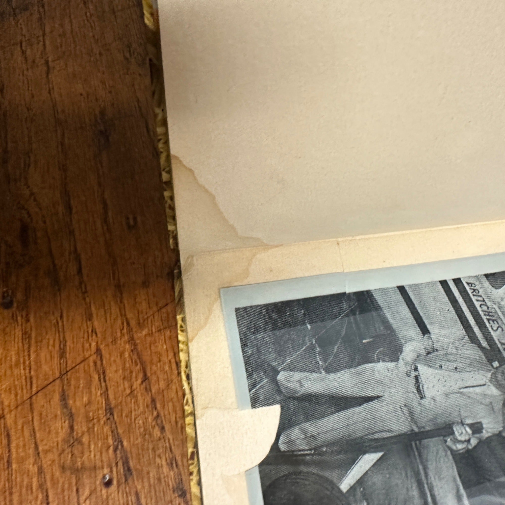 FUN HUNTING WITH MACPHERSON A GUIDE TO FINER FOWL BY HERM TEETOR 1954