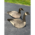 Vintage 1940s Dup-A-Goose Folding Decoys Pair Dunster Sporting Goods Seattle