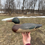 Gorgeous Mason Mallard Duck Decoy 1905  Original Paint