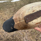 Gorgeous Mason Mallard Duck Decoy 1905  Original Paint