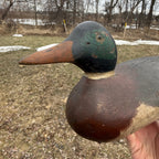 Gorgeous Mason Mallard Duck Decoy 1905  Original Paint