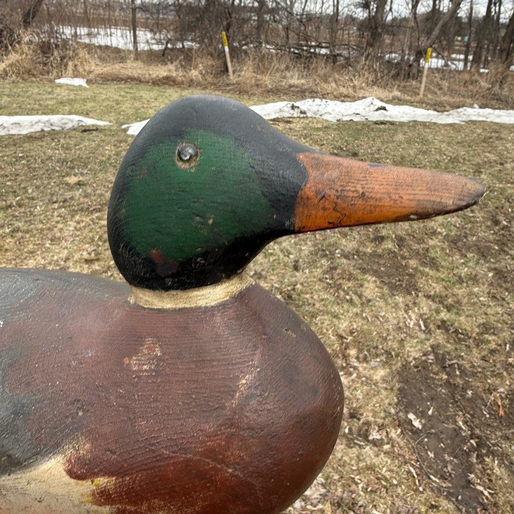 Gorgeous Mason Mallard Duck Decoy 1905  Original Paint