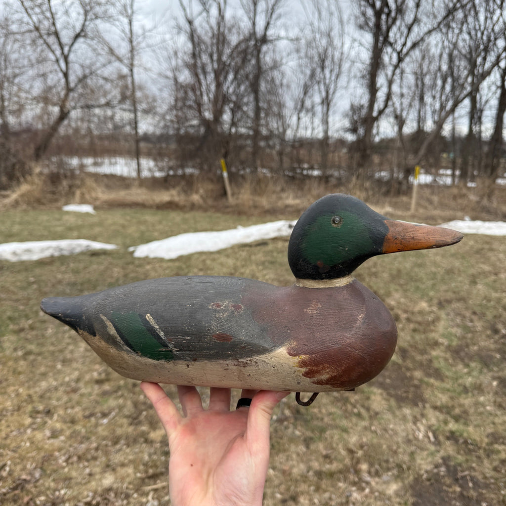 Gorgeous Mason Mallard Duck Decoy 1905  Original Paint