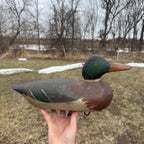 Gorgeous Mason Mallard Duck Decoy 1905  Original Paint