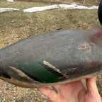 Gorgeous Mason Mallard Duck Decoy 1905  Original Paint