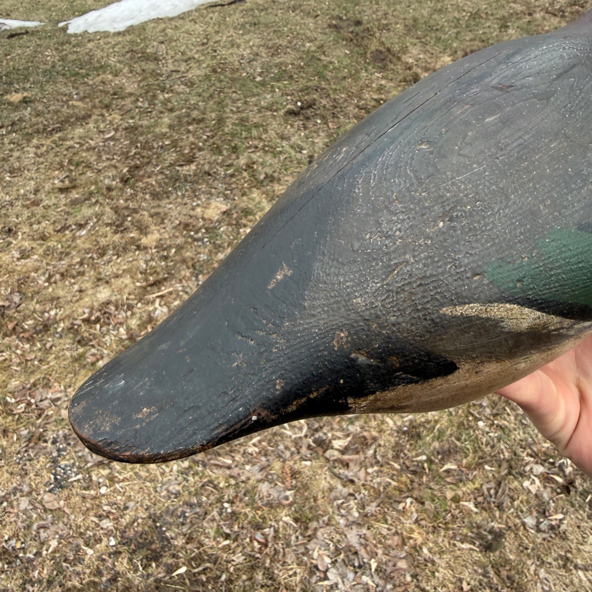 Gorgeous Mason Mallard Duck Decoy 1905  Original Paint