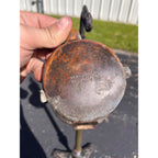 Antique 1920s Scroll Art Co Cast Iron Original Red Color Dragon Standing Ashtray
