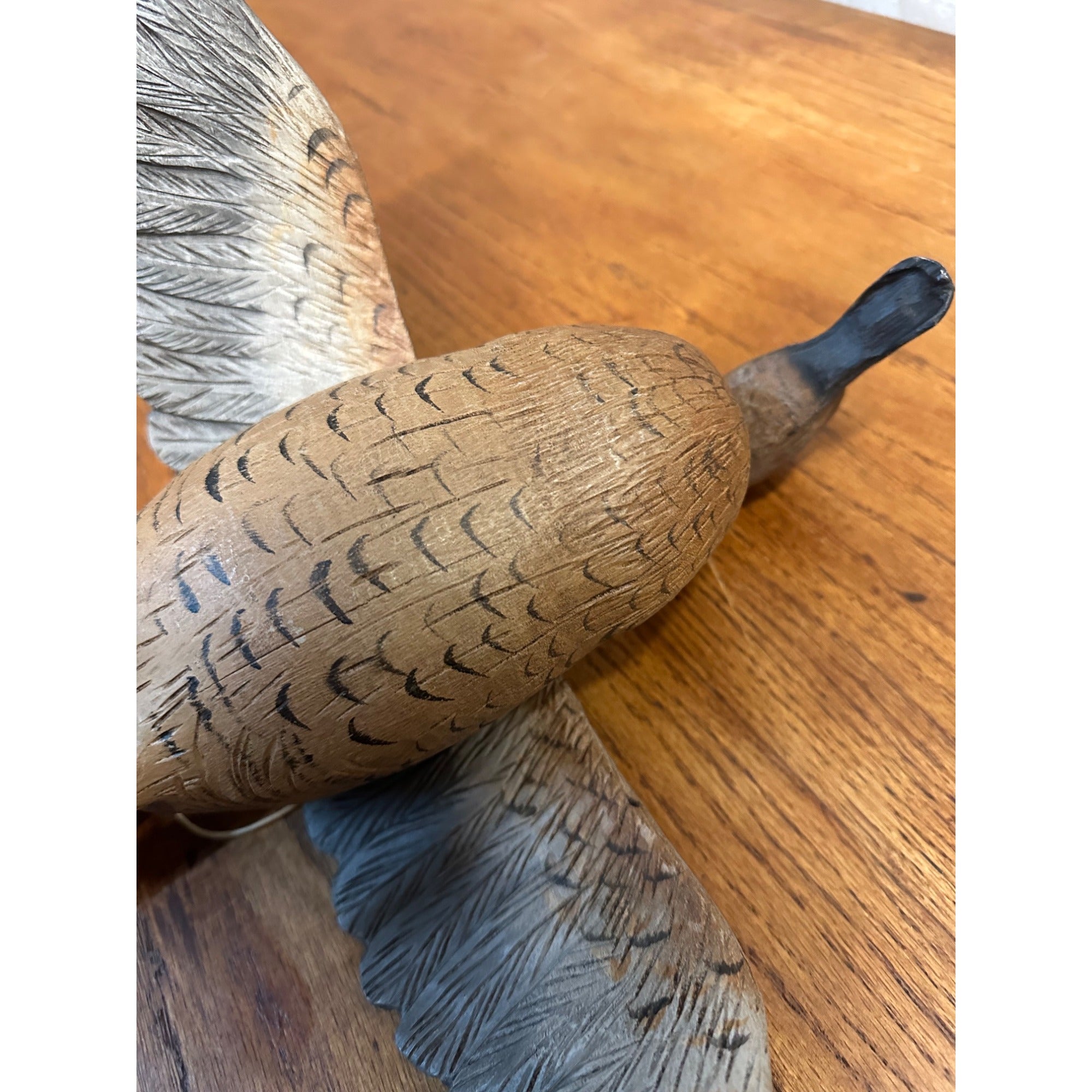 Casey Edwards Blue Wing Teal Hen in Flight Wood Carving Decoy Manitowoc