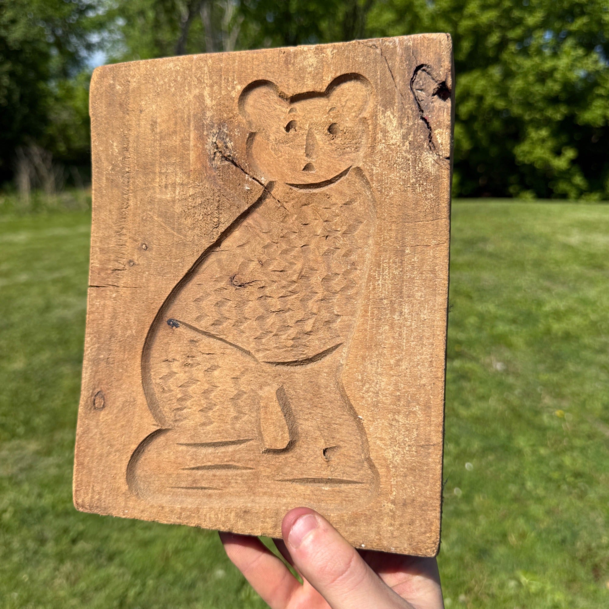 Original Primitive 19th c. Carved Wooden Cookie Mold Press of Cat Folk Art AAFA