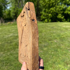 Original Primitive 19th c. Carved Wooden Cookie Mold Press of Cat Folk Art AAFA