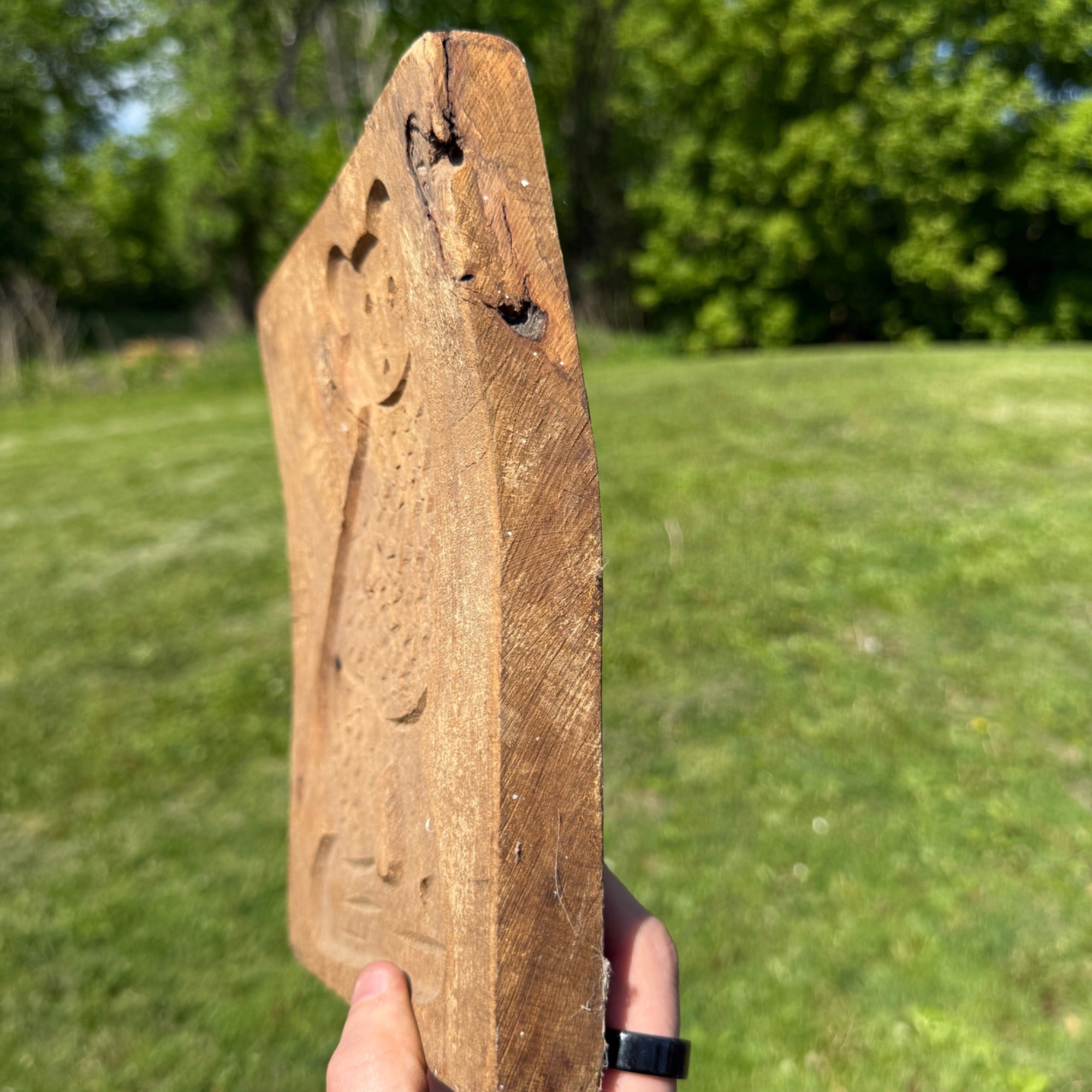 Original Primitive 19th c. Carved Wooden Cookie Mold Press of Cat Folk Art AAFA