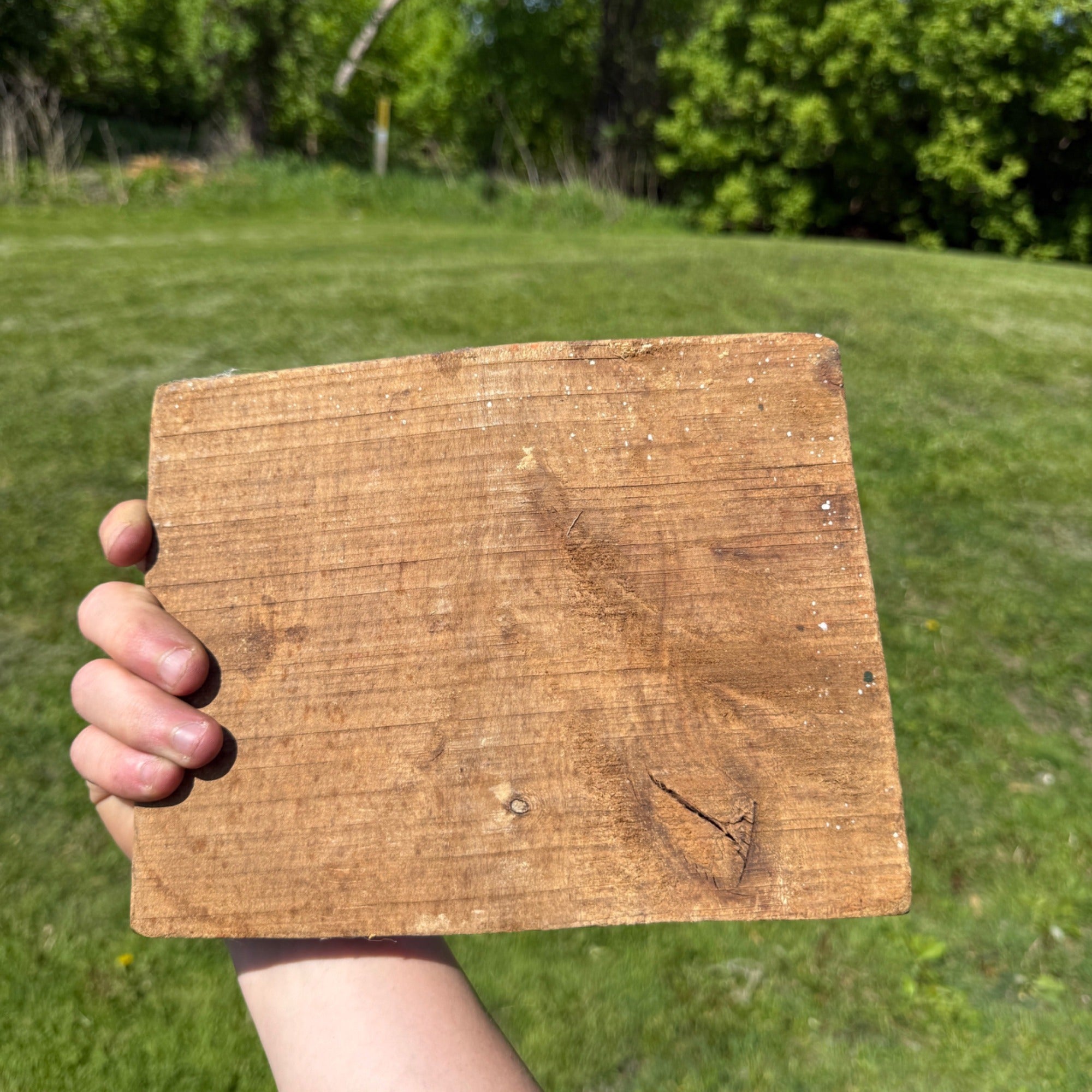 Original Primitive 19th c. Carved Wooden Cookie Mold Press of Cat Folk Art AAFA