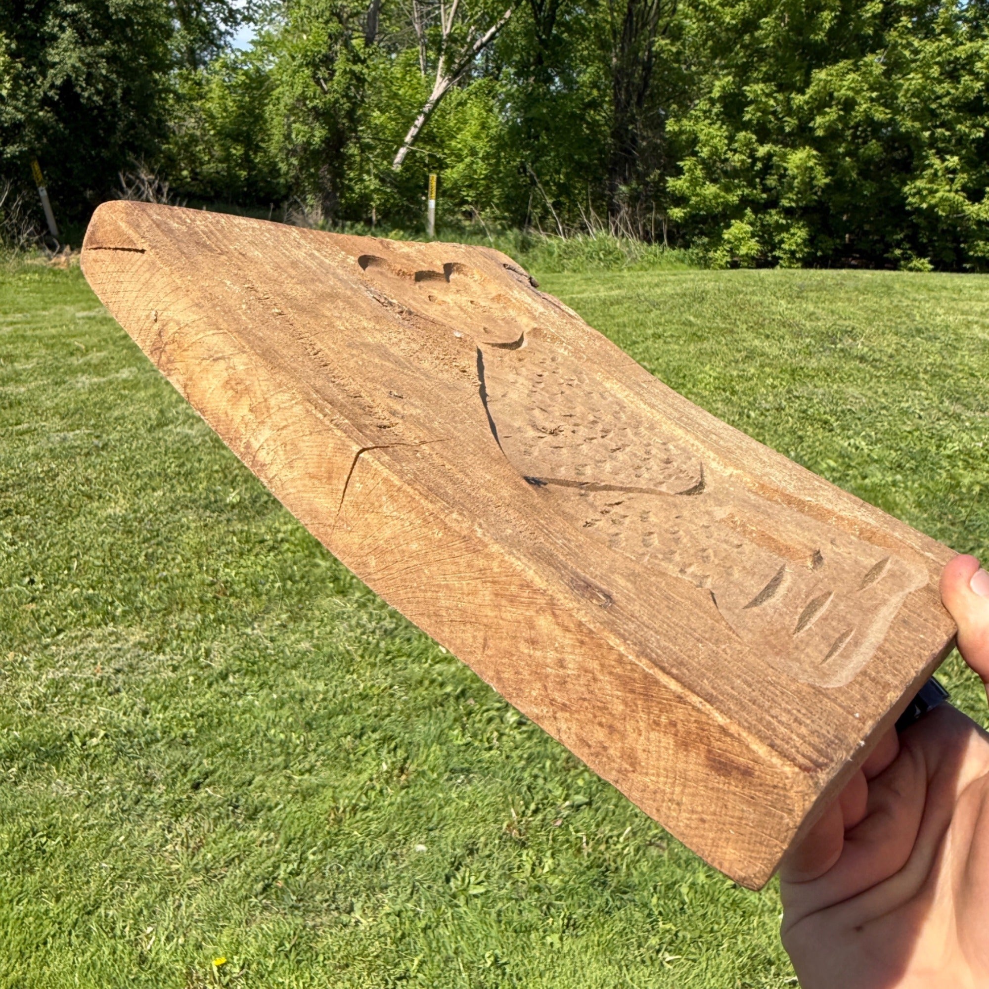 Original Primitive 19th c. Carved Wooden Cookie Mold Press of Cat Folk Art AAFA