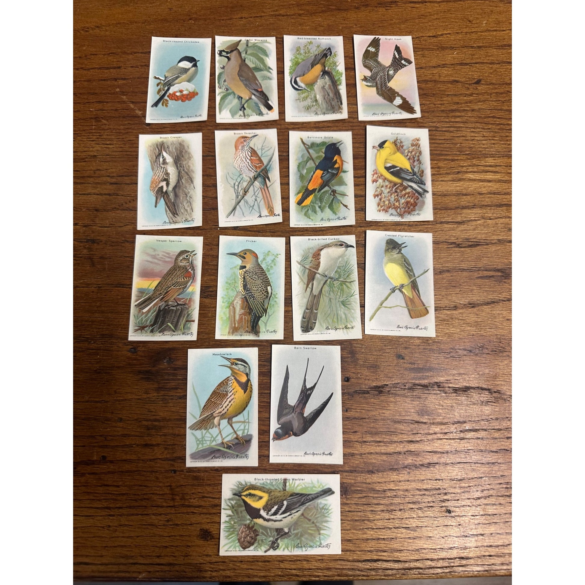 1938 Church & Dwight Tenth Series Bird Trading Cards Lot (15) Non-Sports