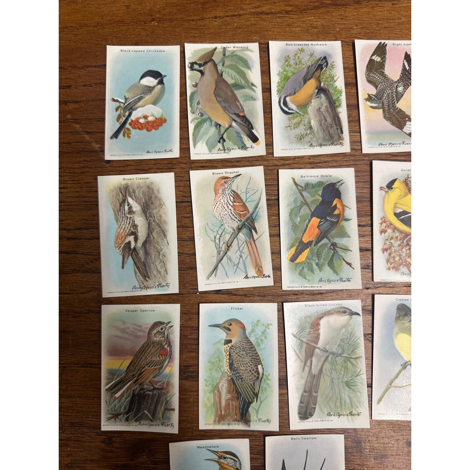1938 Church & Dwight Tenth Series Bird Trading Cards Lot (15) Non-Sports