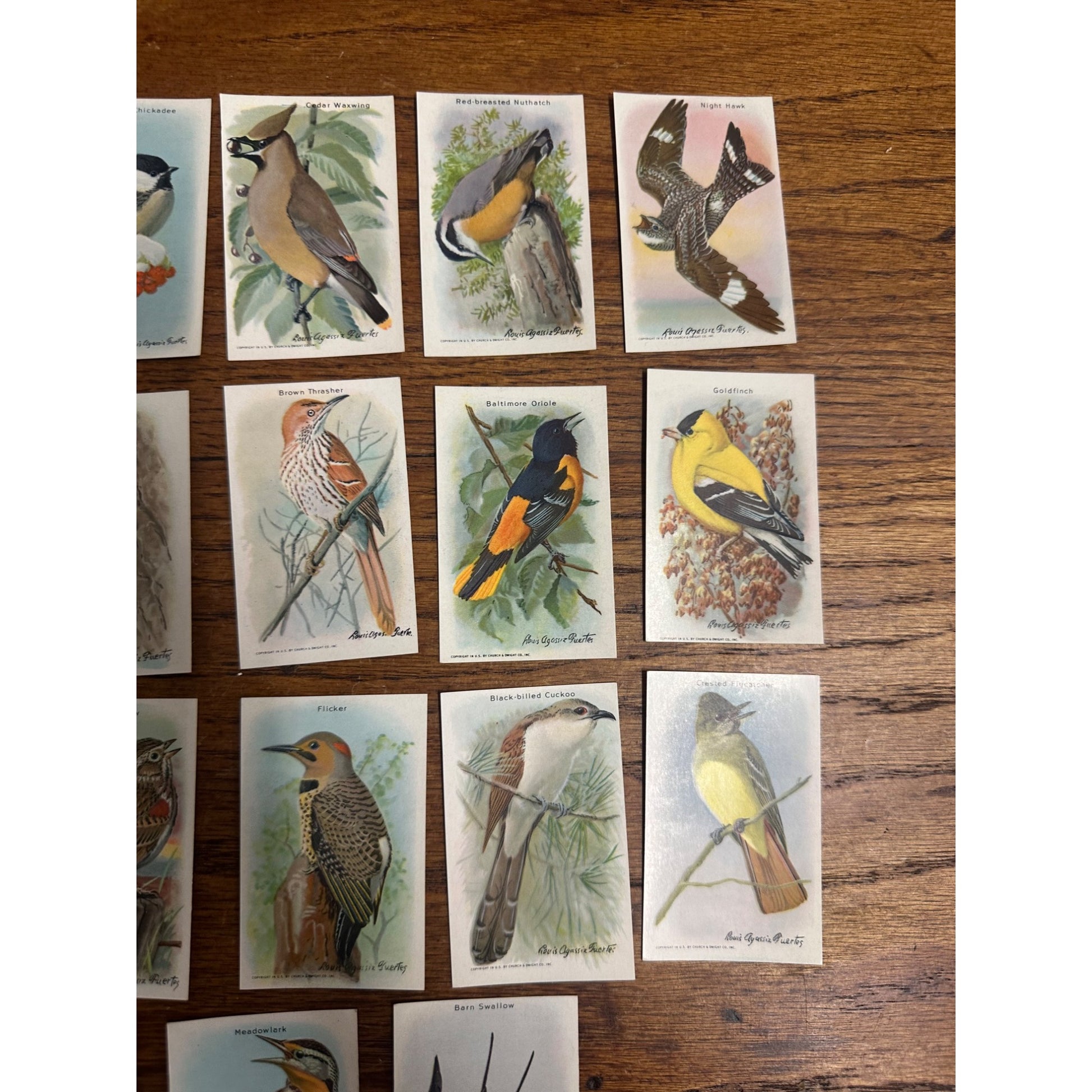 1938 Church & Dwight Tenth Series Bird Trading Cards Lot (15) Non-Sports