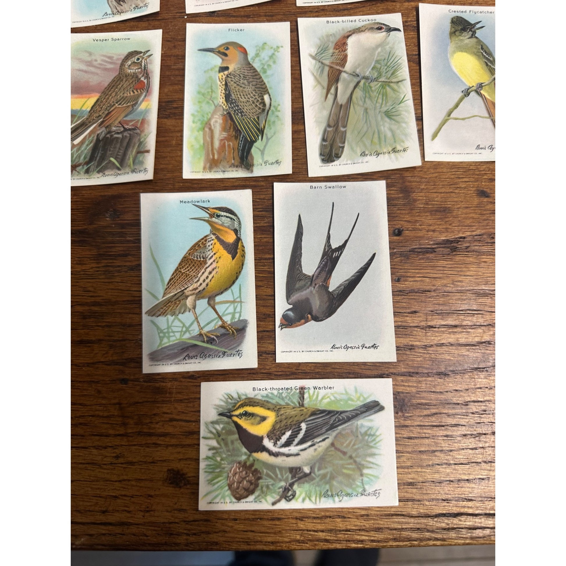 1938 Church & Dwight Tenth Series Bird Trading Cards Lot (15) Non-Sports