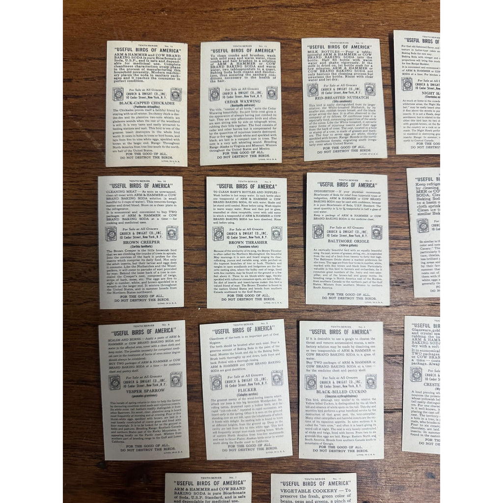 1938 Church & Dwight Tenth Series Bird Trading Cards Lot (15) Non-Sports