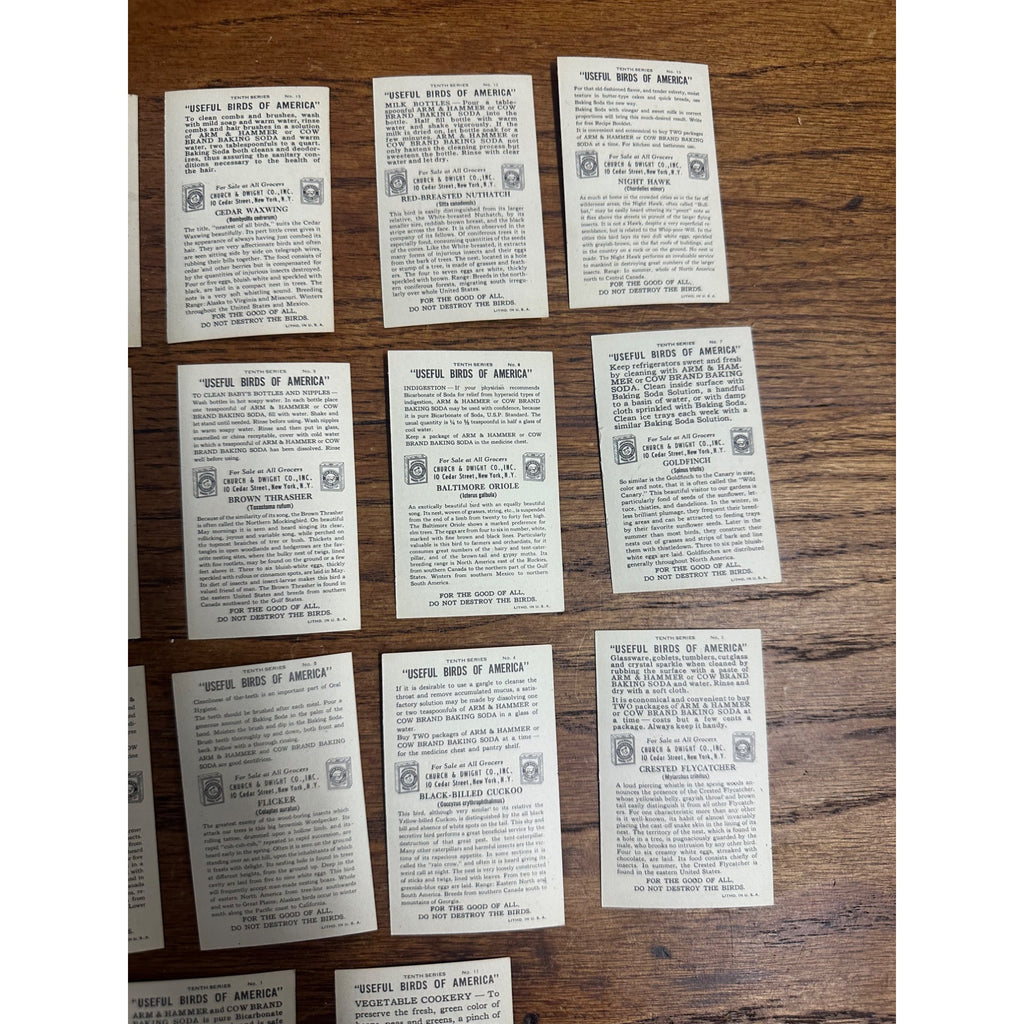 1938 Church & Dwight Tenth Series Bird Trading Cards Lot (15) Non-Sports