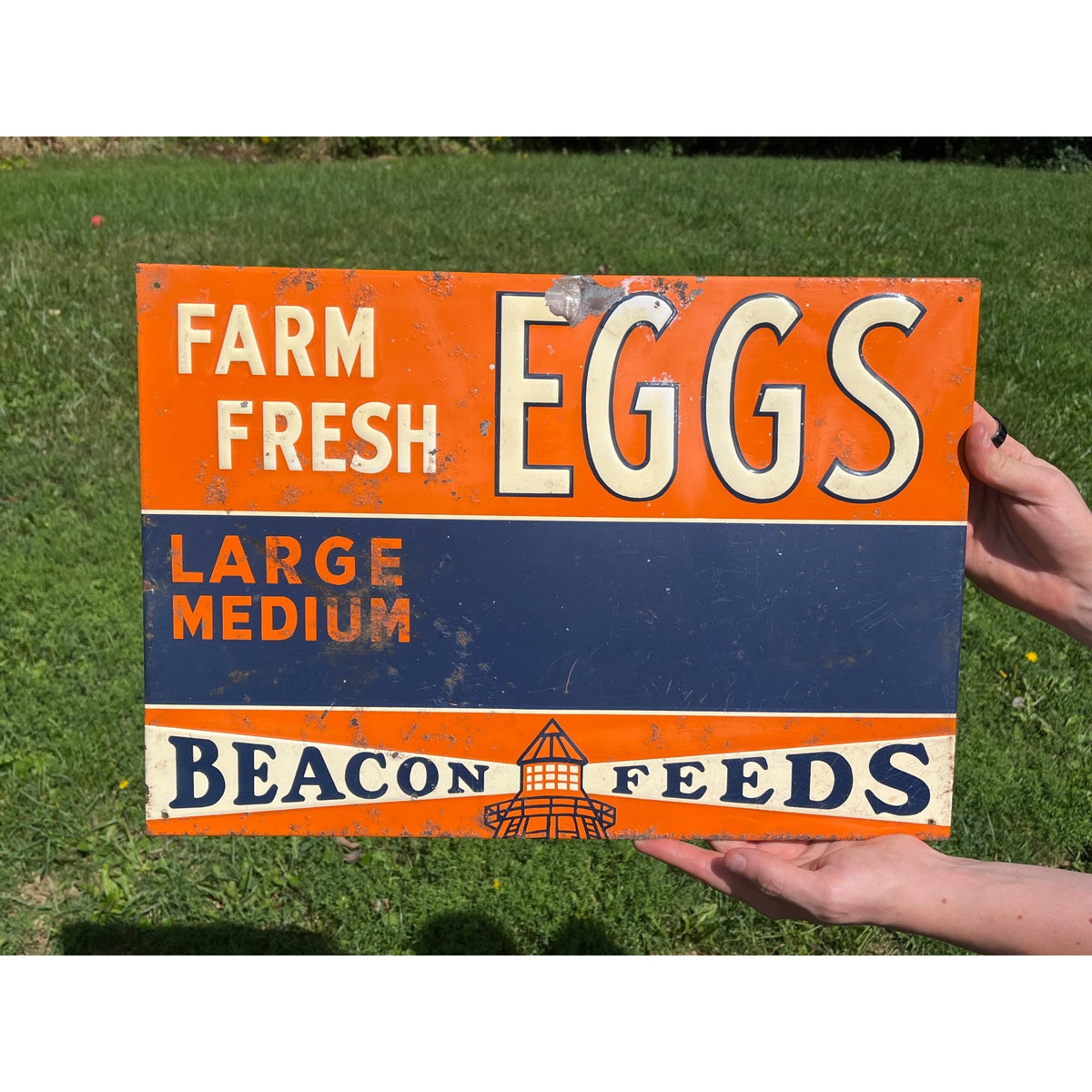 Vintage 1950s Original Beacon Feeds Fresh Eggs Farm Metal Sign