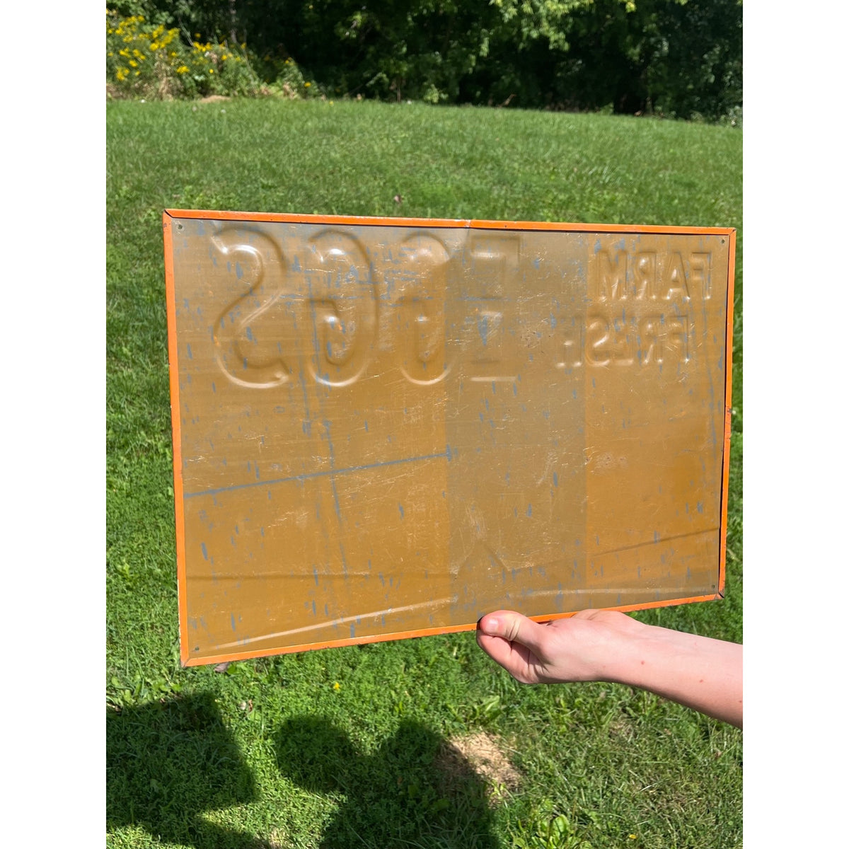 Vintage 1950s Original Beacon Feeds Fresh Eggs Farm Metal Sign
