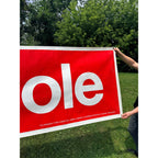 Vintage 1976 Gerald Ford And Bob Dole Presidential Campaign Banner Sign Original