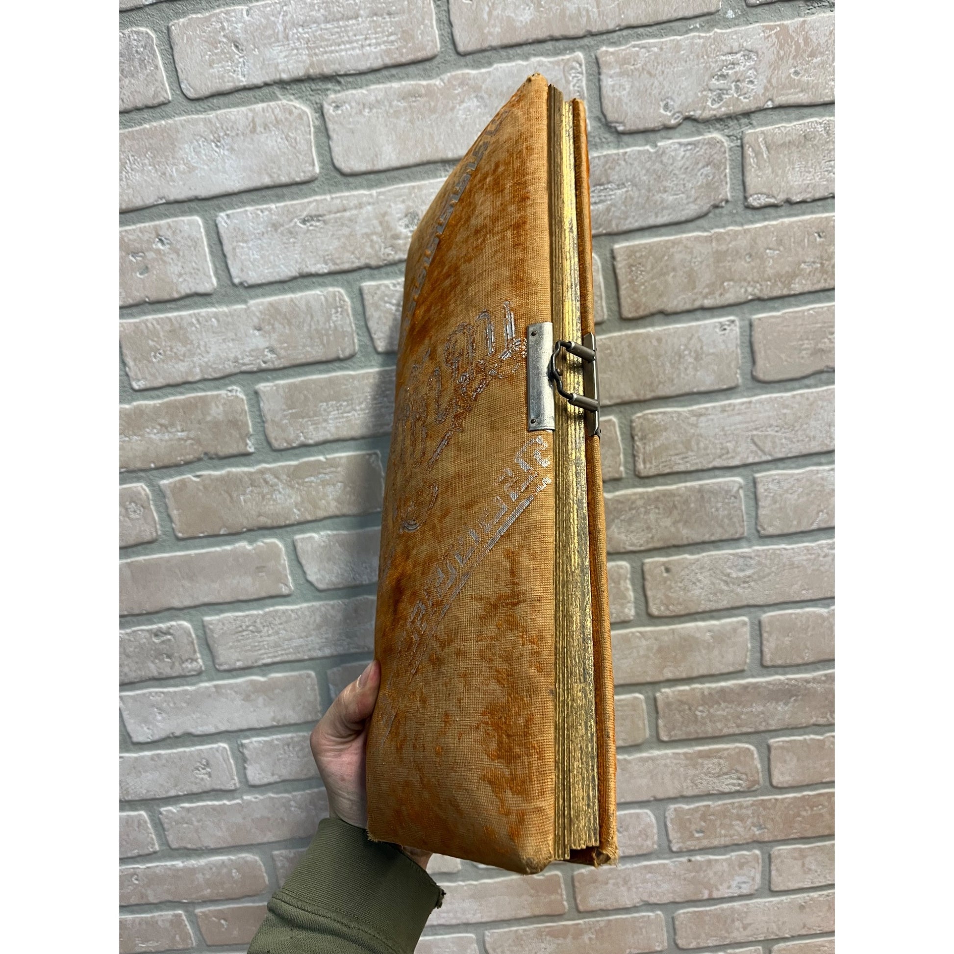 Vintage Antique Victorian Photo Album with 24 Cabinet Photos - Padded Cover