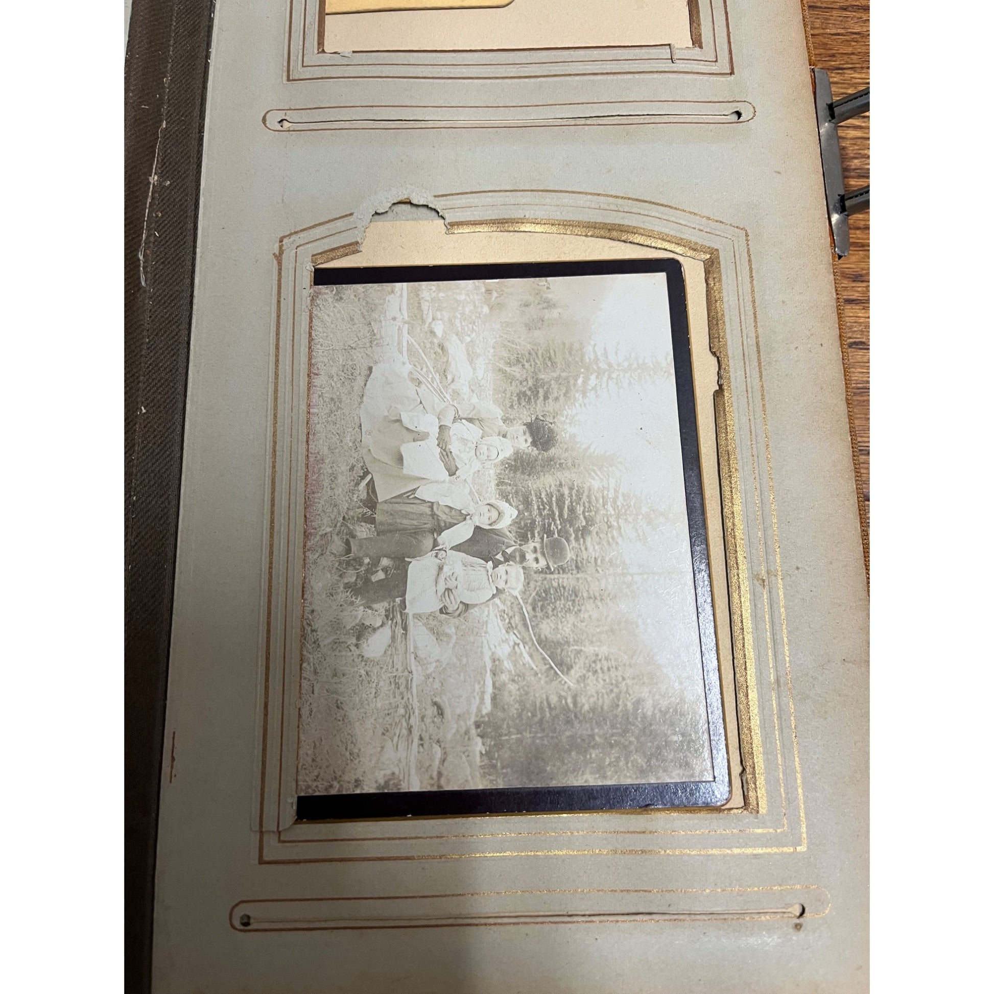 Vintage Antique Victorian Photo Album with 24 Cabinet Photos - Padded Cover