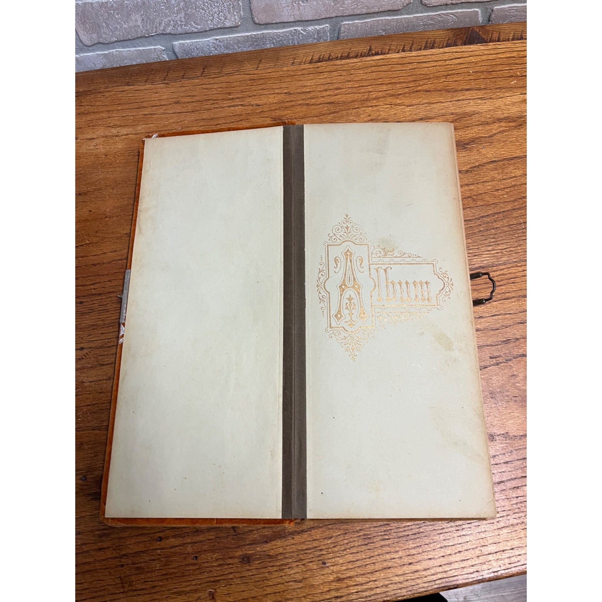 Vintage Antique Victorian Photo Album with 24 Cabinet Photos - Padded Cover