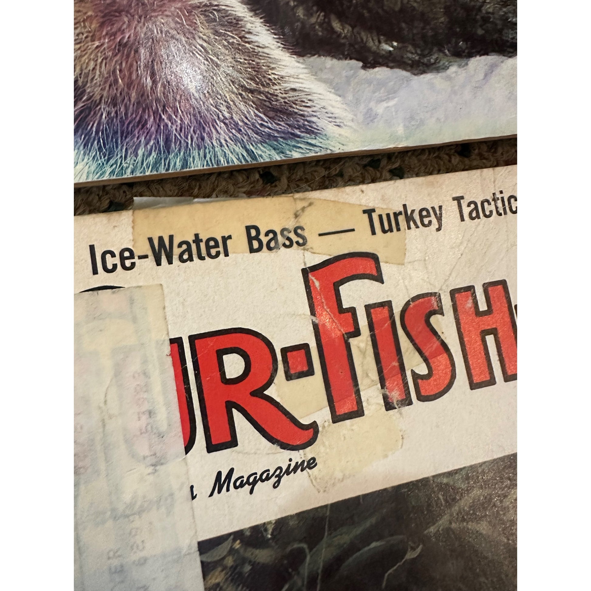 Vintage 1986 Fur, Fish, & Game Magazines Complete Full Year Set Hunting Fishing