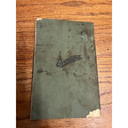 Vintage Paperback Manual Directions for the Operation, Care and Adjustment of the Overland Model 75 Automobile 1915