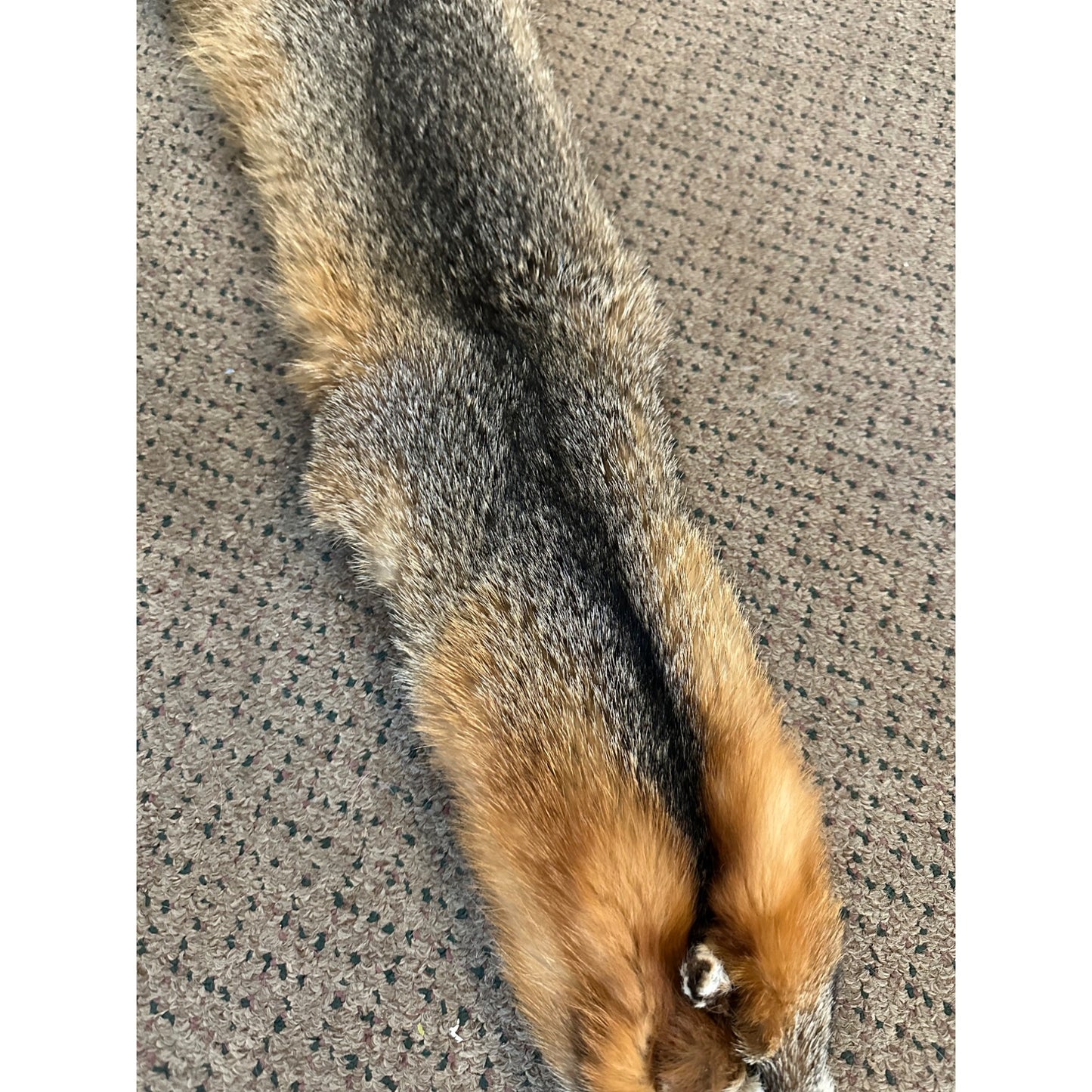 Beautiful Gray Fox Professionally Tanned Hide Super Soft Leather Craft Pelt Fur