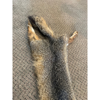 Beautiful Gray Fox Professionally Tanned Hide Super Soft Leather Craft Pelt Fur