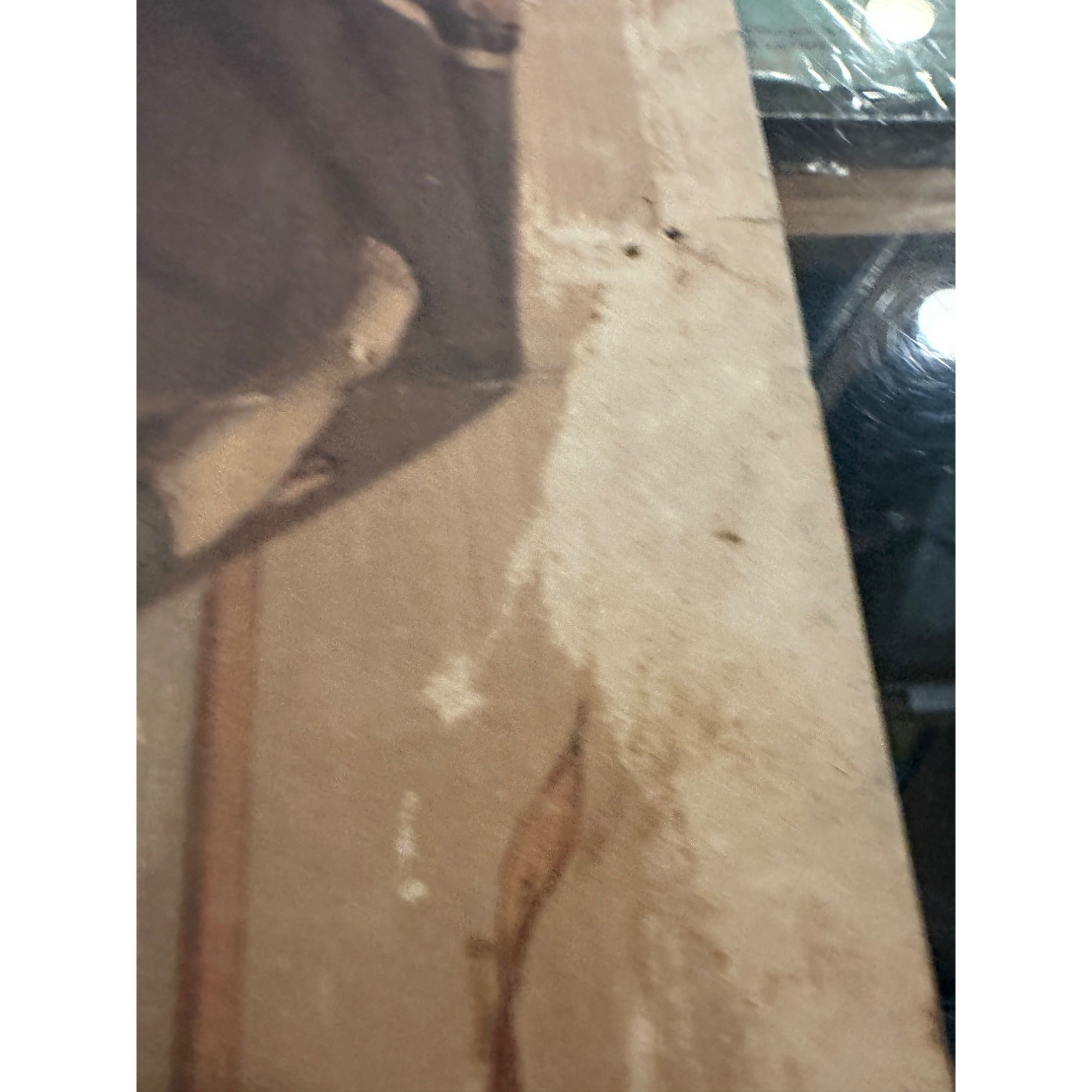 Early Pre-Pro Style Jos. Schlitz Lager Beer Litho Sign Poster Milwaukee WI 1970s