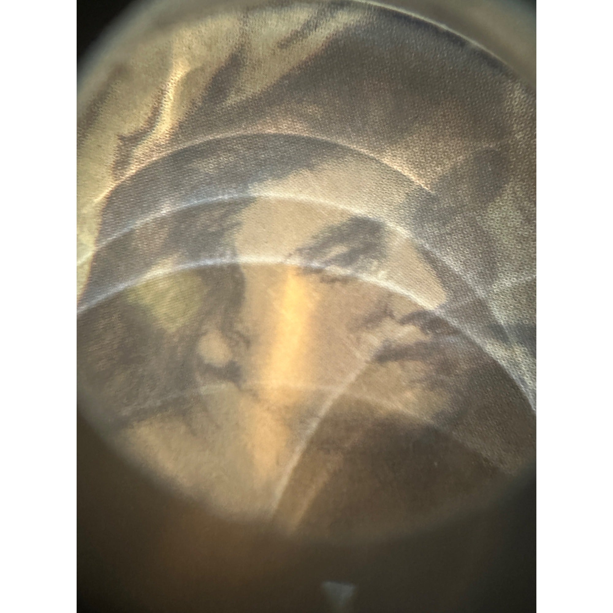 Early Pre-Pro Style Jos. Schlitz Lager Beer Litho Sign Poster Milwaukee WI 1970s