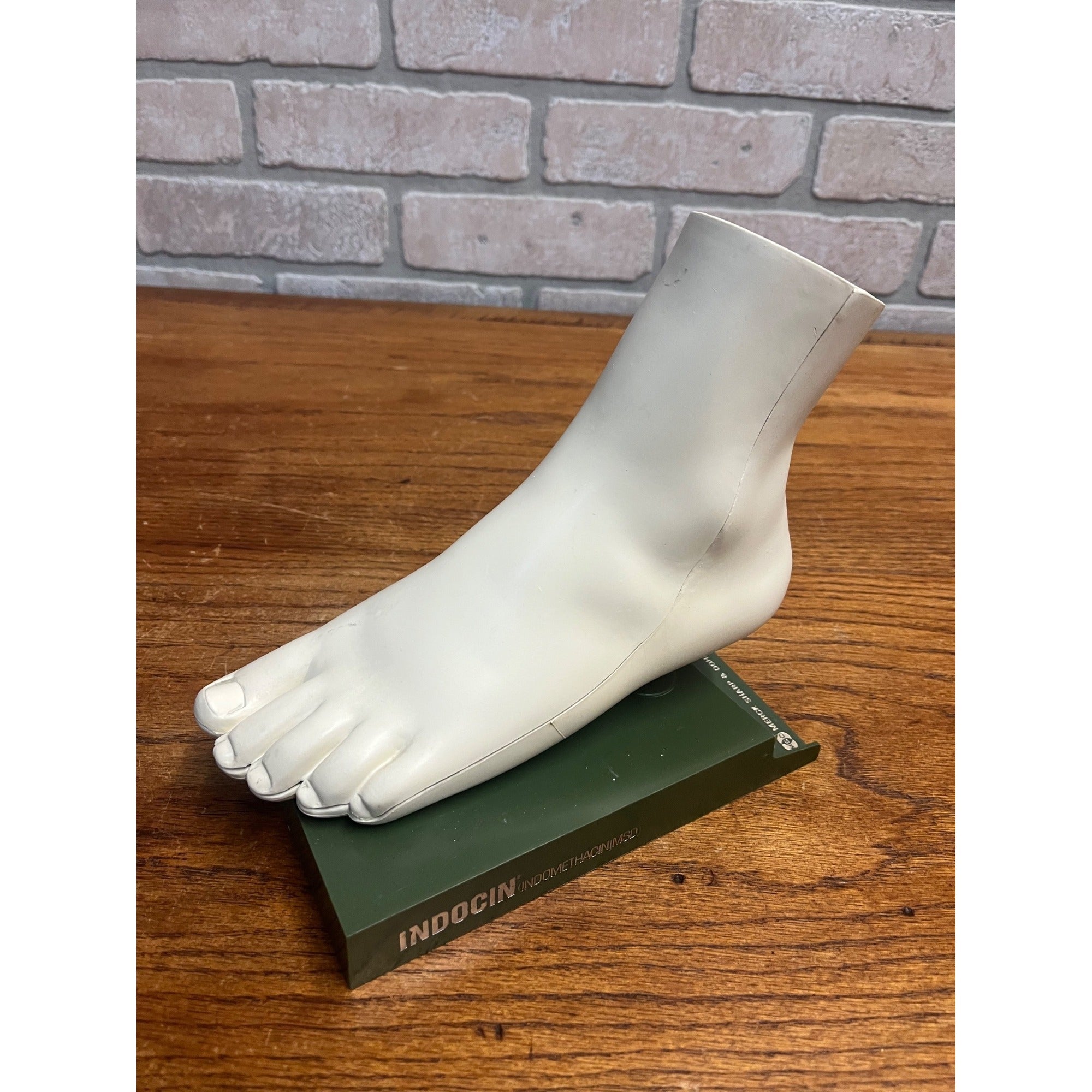 Vintage Merck Benemid/Indocin Advertising Display Foot Anatomical Store Model