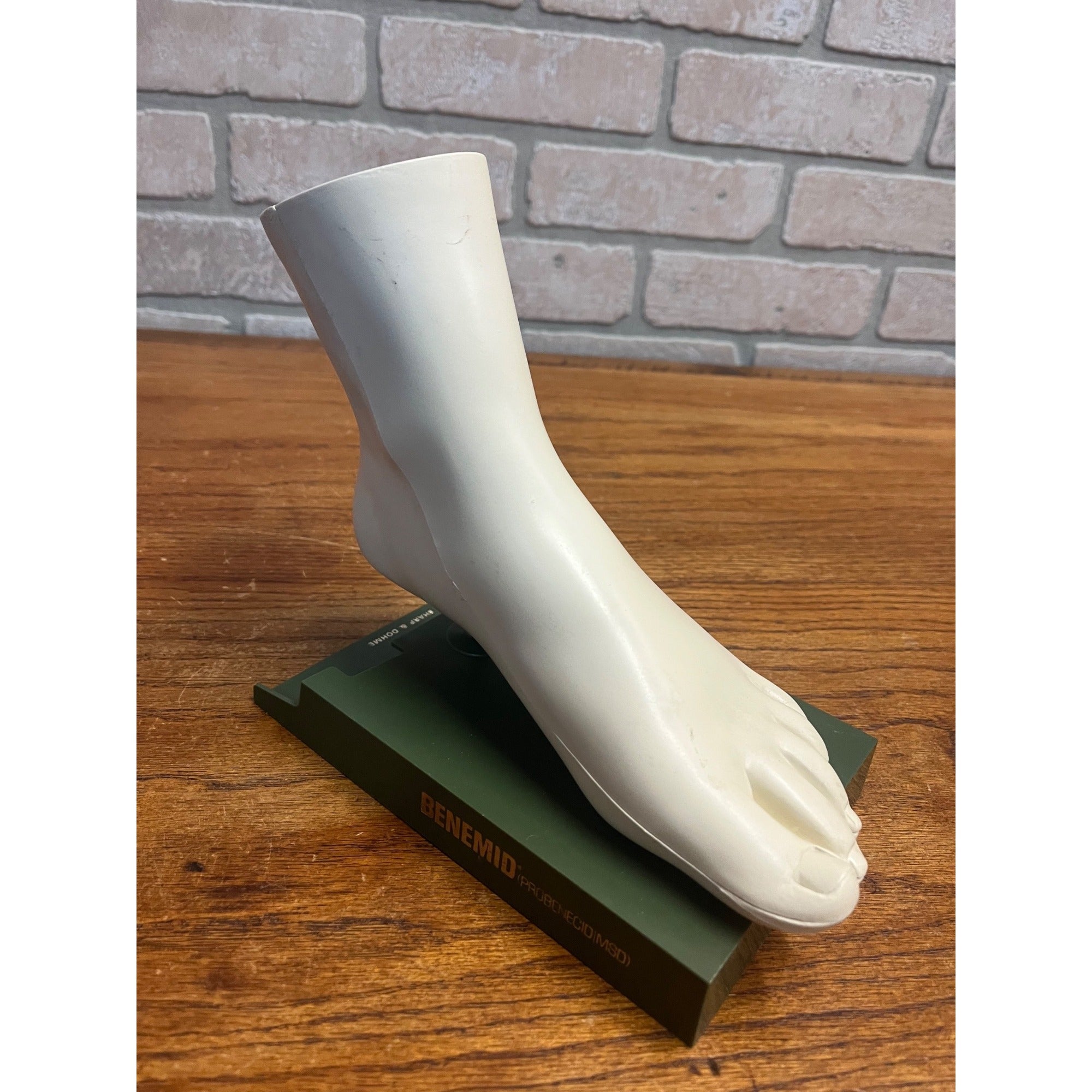 Vintage Merck Benemid/Indocin Advertising Display Foot Anatomical Store Model
