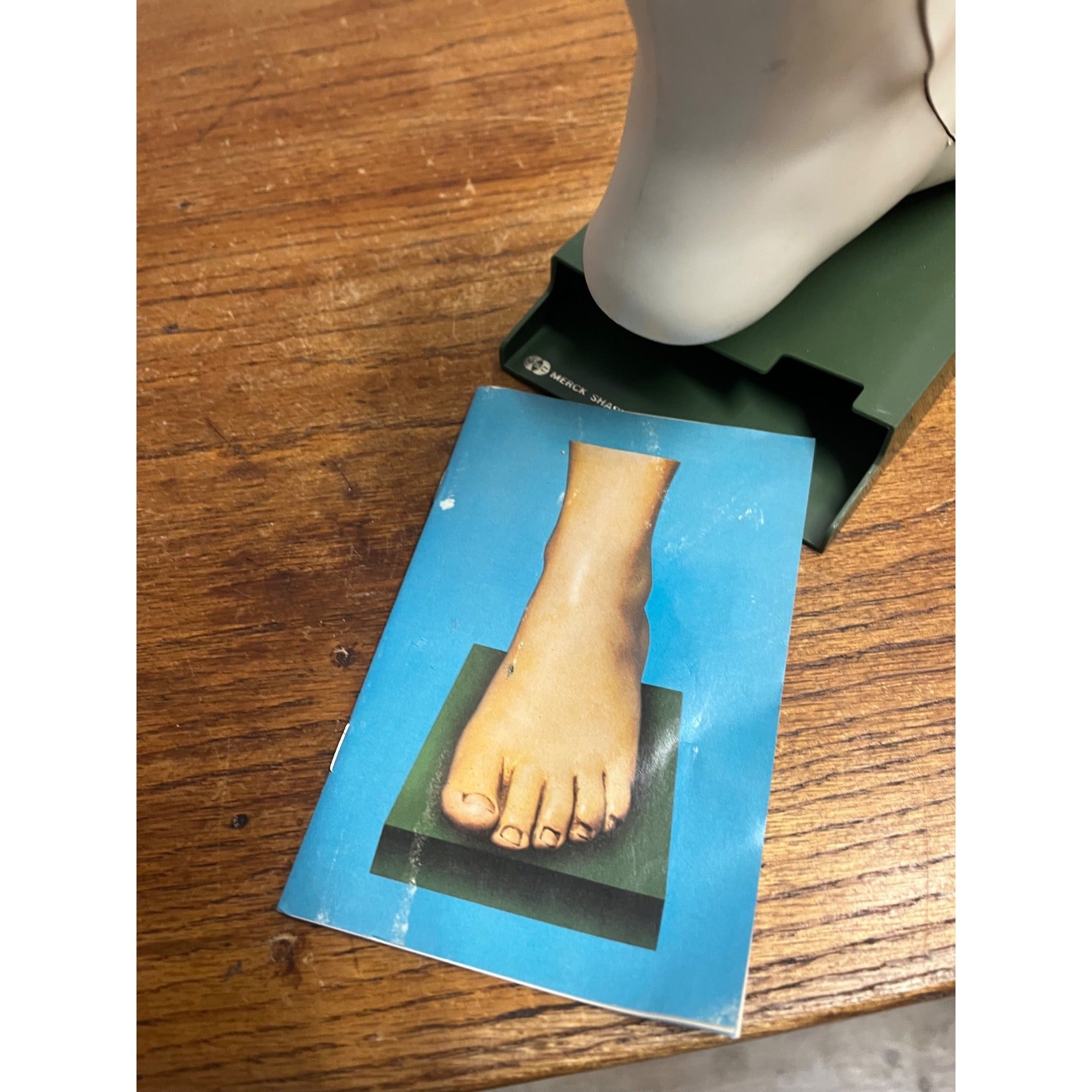 Vintage Merck Benemid/Indocin Advertising Display Foot Anatomical Store Model