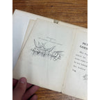 1917 Peter Rabbit Goes to School By Louise Field Antique Hardcover Book with Illustrations By Virginia Albert