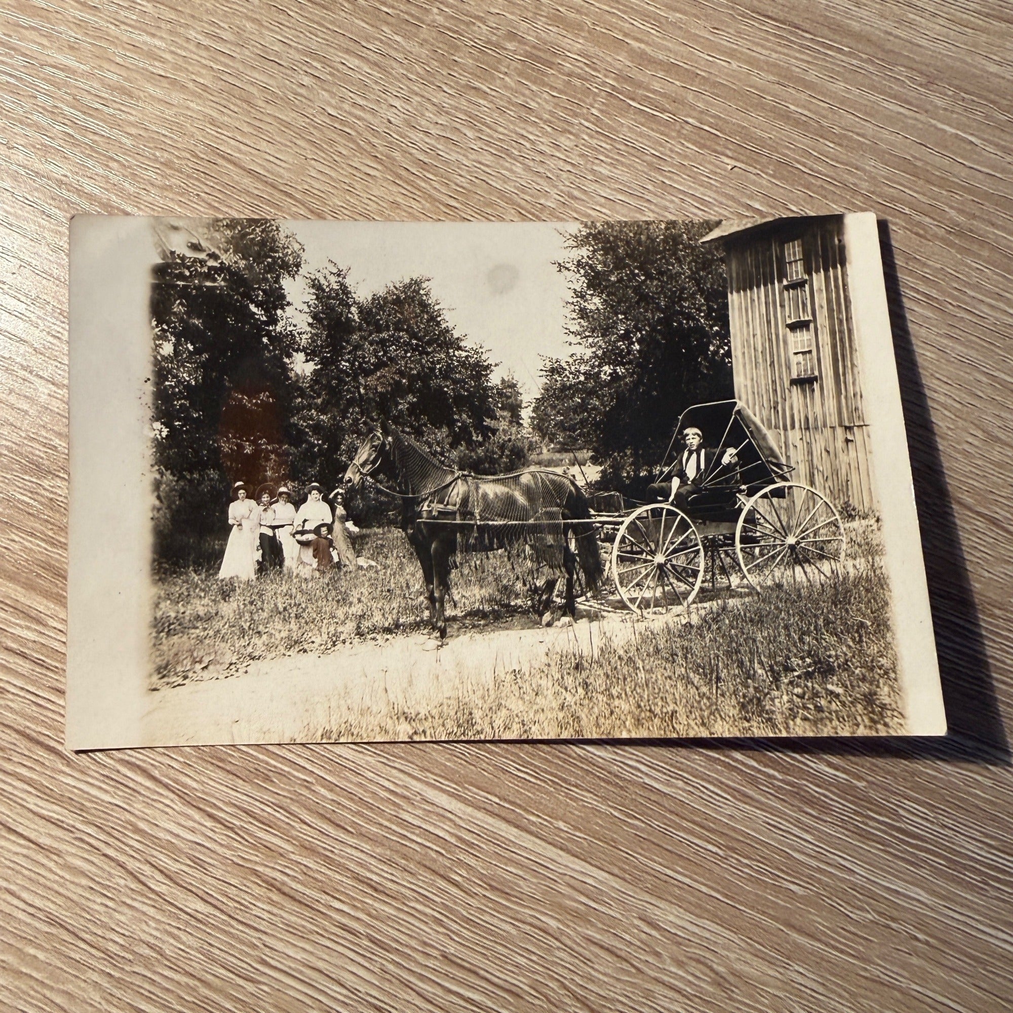 RPPC Postcard Horse and Buggy with Horse Net Ornate Wisconsin